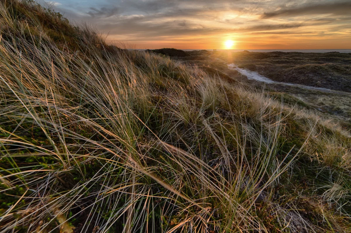 uruchomić klimatyzację? Dobrze albo wcale!